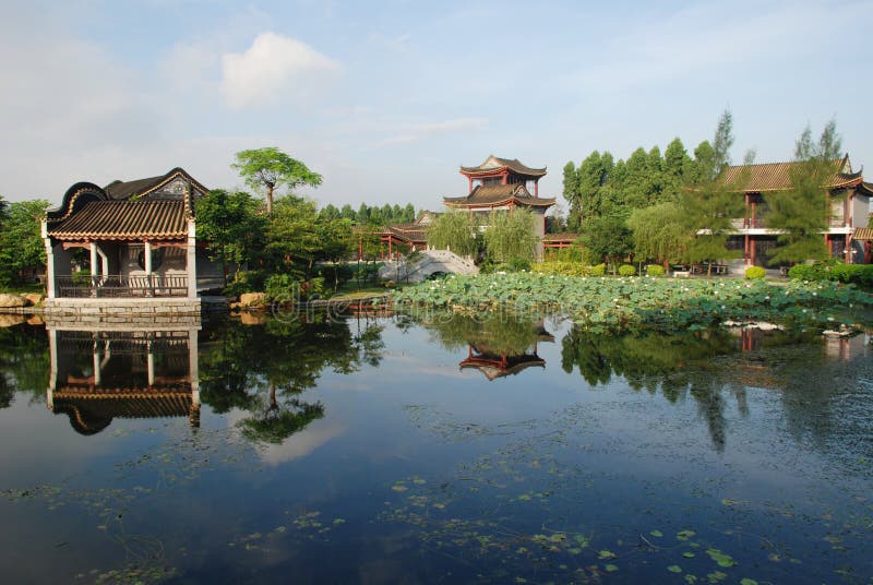 The Chinese lotus pond garden