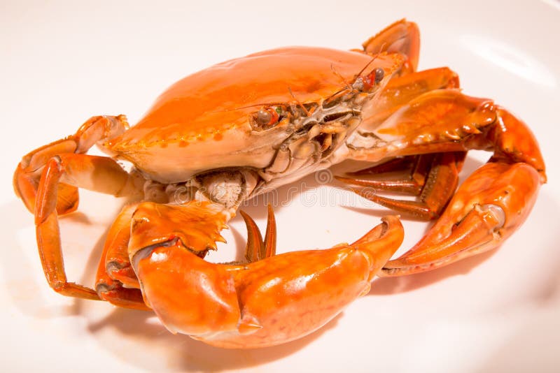 Chinese Meat The Burning Abalone Stock Image Image of dishes