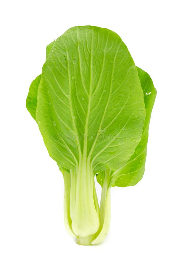 2,383 Chinese Mustard Green Stock Photos Free & RoyaltyFree Stock