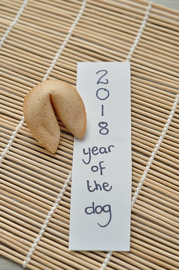 fortune cookie dog