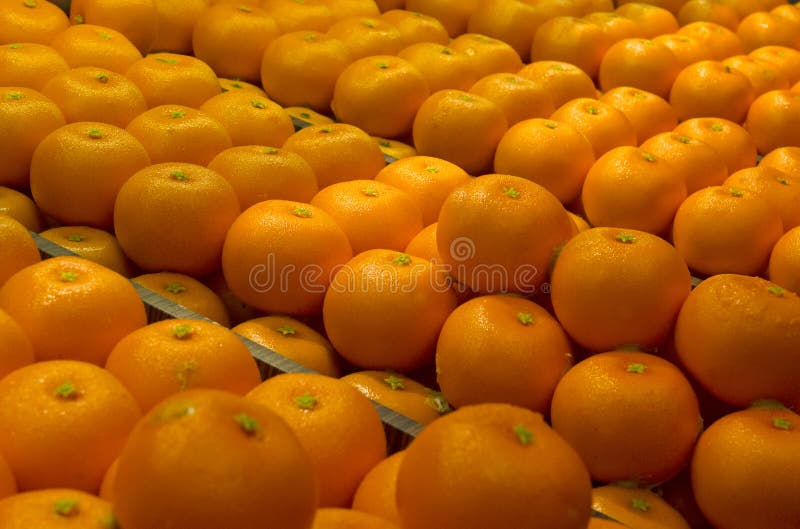 Chinese New Year Mandarin Oranges Stock Photo Image of holiday, fruit 50250200