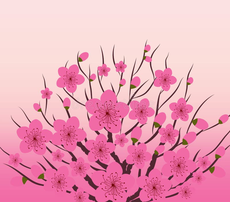 Chinese New Year Plum Blossom Background Stock Vector Illustration of