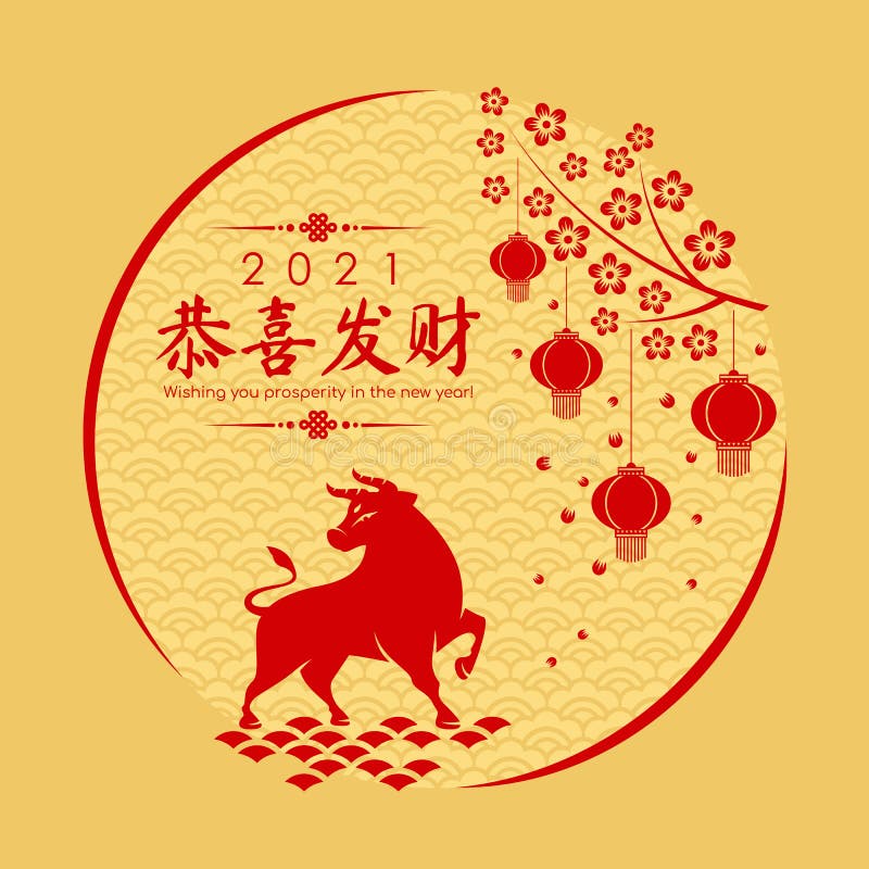 My Image 19