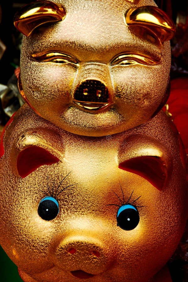 Chinese new year s pig