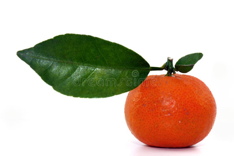 Chinese Orange Picture. Image 8028006