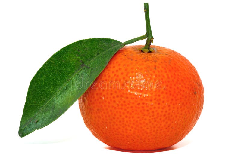 Chinese Orange stock photo. Image of asian, health, juicy 8028006