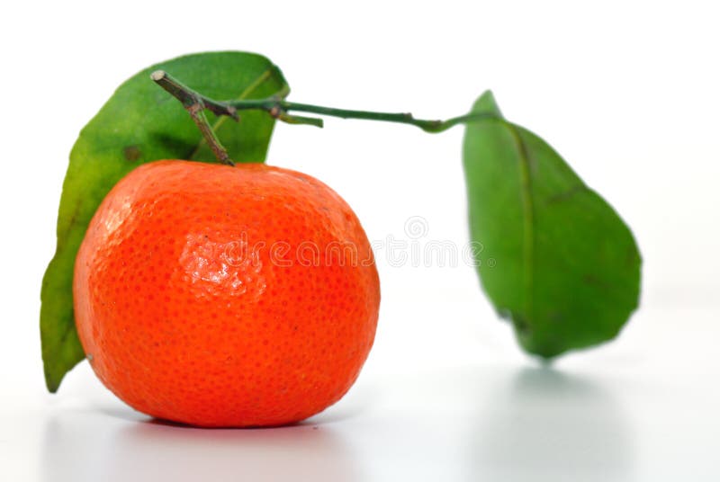 Chinese Orange Picture. Image 8225415