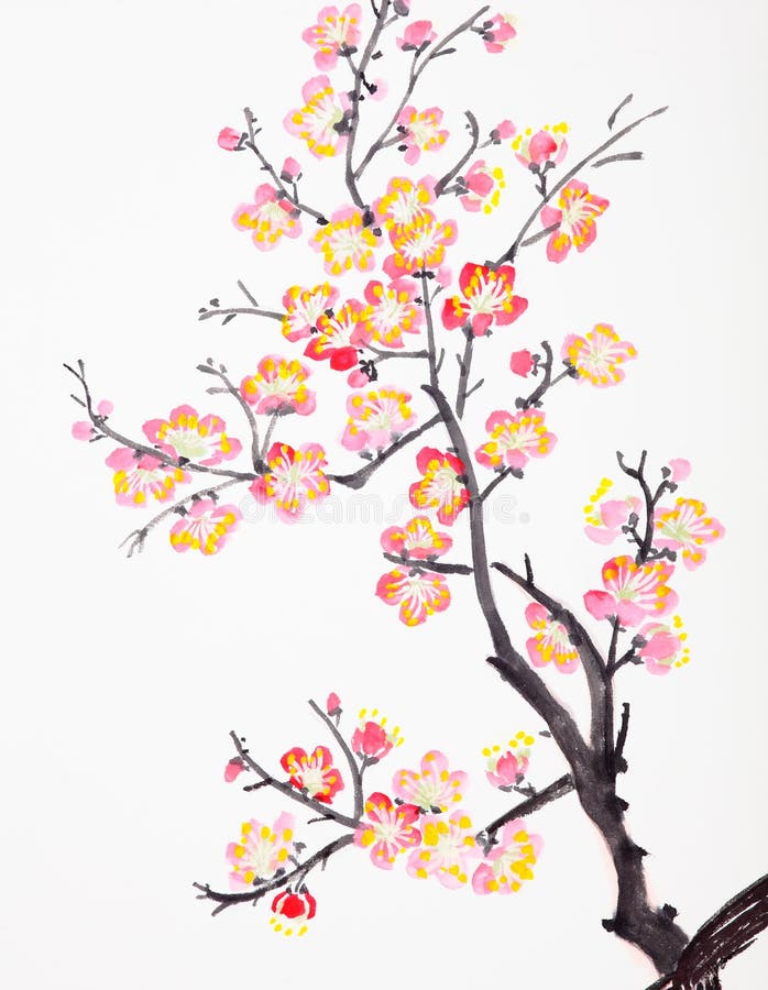 Tradiční Čínská malba květin, švestka, květ zblízka bílém pozadí.