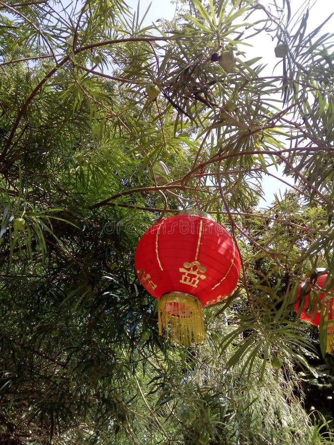 Chinese paper lamp. stock image. Image of chinese, paper 126311275