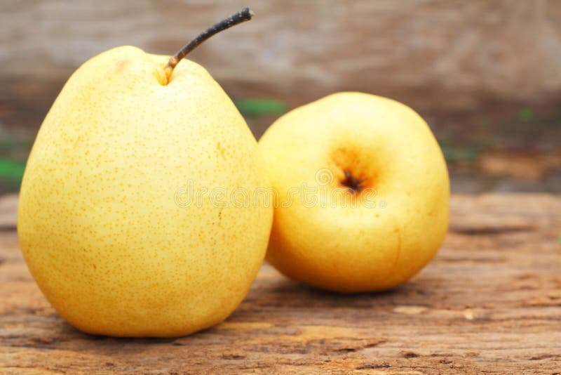 Chinese pear stock photo. Image of nutrients, fruit, summer 30886990