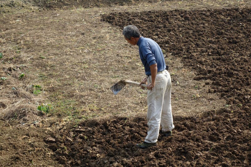 Chinese peasants are ploughing the field stock photography Chinese peasants are ploughing the field stock photography