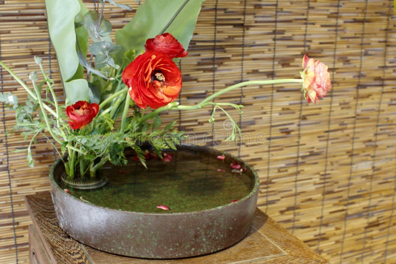 Chinese Rose Water Plant Vase Jar Stock Photos Free & RoyaltyFree