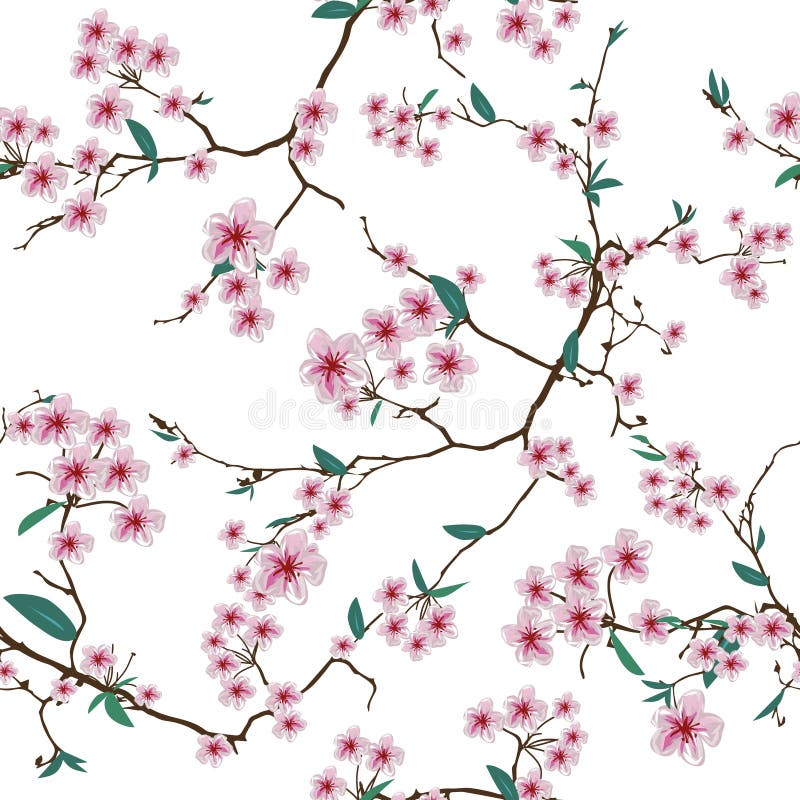 Chinese Sakura White Seamless Vector Pattern Stock Vector