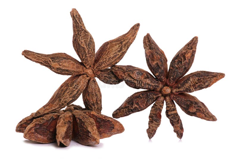 Chinese star anise stock image. Image of star, cutout 22179093