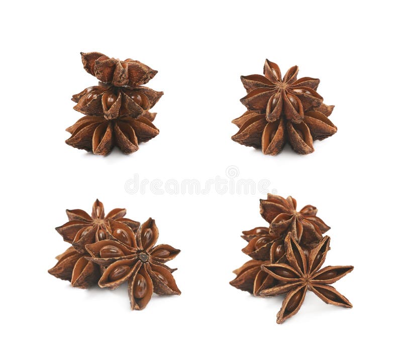 Chinese Star Anise Seed Isolated Stock Image Image of schisandraceae
