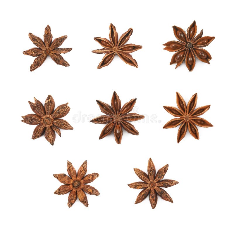 Chinese Star Anise Seed Isolated Stock Photo Image of condiment