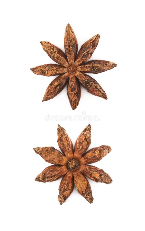 Chinese Star Anise Seed Isolated Stock Image Image of ingredient