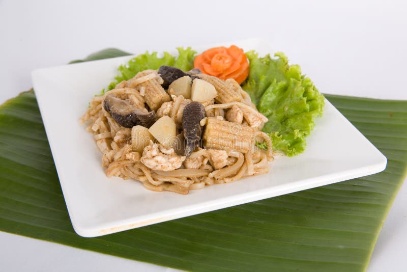 Chinese Stir Fried Noodles with Chicken Stock Photo - Image of noodles
