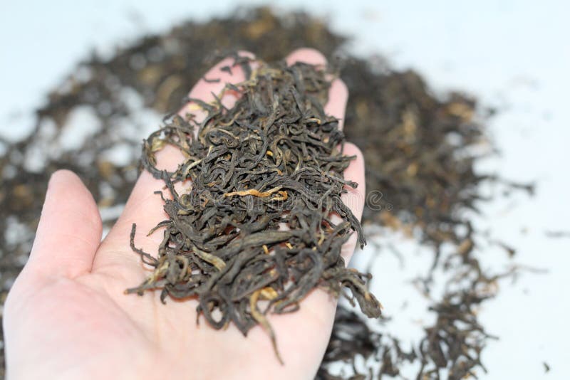 This Chinese Tea. a Scattering of Dry Tea Stock Photo Image of