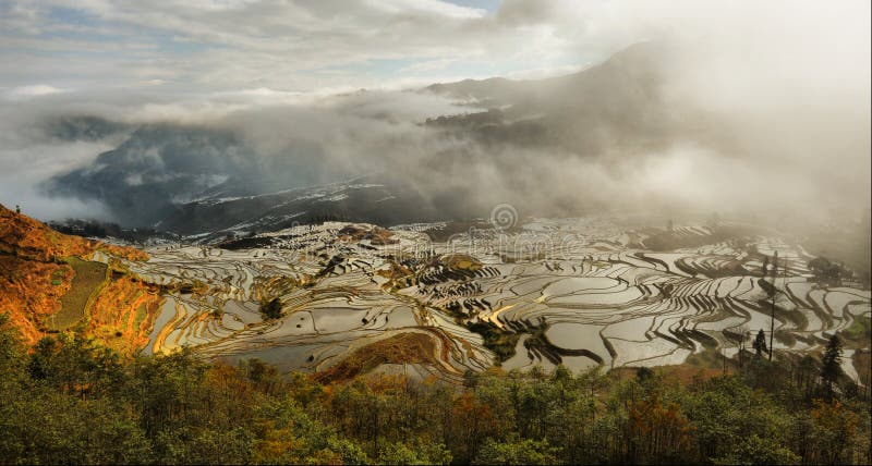 Alba sul Cinese terrazza di acqua del campo dell'azienda agricola nella provincia di Yunnan.