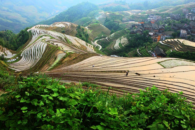 Chinese terrace and village