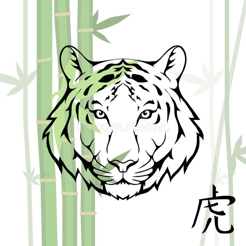 Chinese Tiger. stock vector. Illustration of feline 104830239