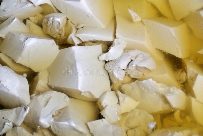 Chinese tofu with xo sauce stock image. Image of asia 22294369