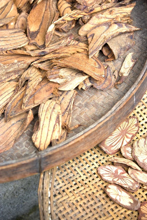 Chinese Traditional Medicine Tree Barks Stock Image Image of zhuang