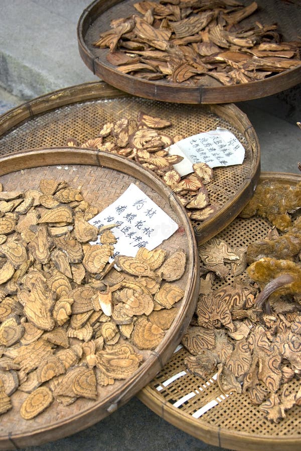 Chinese Traditional Medicine Tree Barks Stock Image Image of zhuang