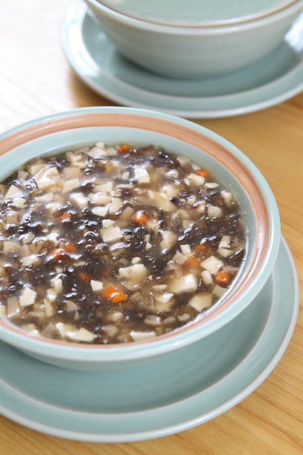 Chinese Vegetarian Tofu and Seaweed Soup Stock Image - Image of chinese ...