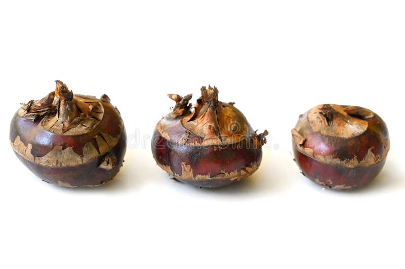 448 Chinese Water Chestnut Stock Photos Free & RoyaltyFree Stock