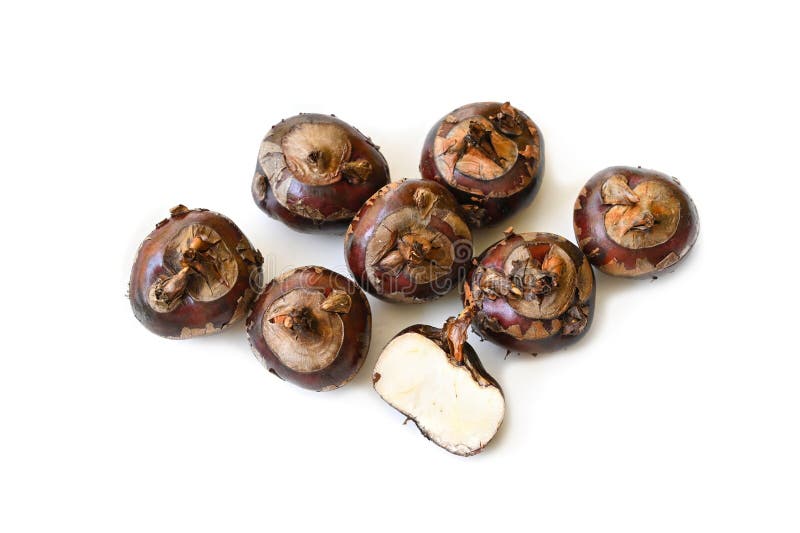 448 Chinese Water Chestnut Stock Photos Free & RoyaltyFree Stock