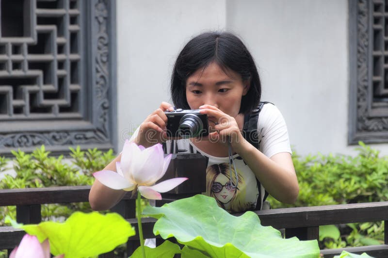 A chinese woman taking pictures of lotus flower. A chinese woman taking pictures of flowering lotus with Guyi Gardens Shanghai china in the summer royalty free stock photos A chinese woman taking pictures of lotus flower. A chinese woman taking pictures of flowering lotus with Guyi Gardens Shanghai china in the summer royalty free stock photos