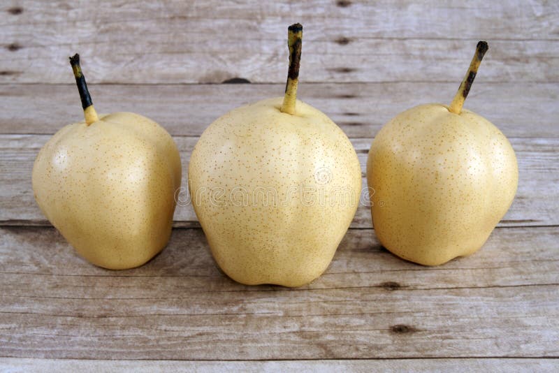 Chinese Ya Pears stock photo. Image of taiwan, fruit 33747822