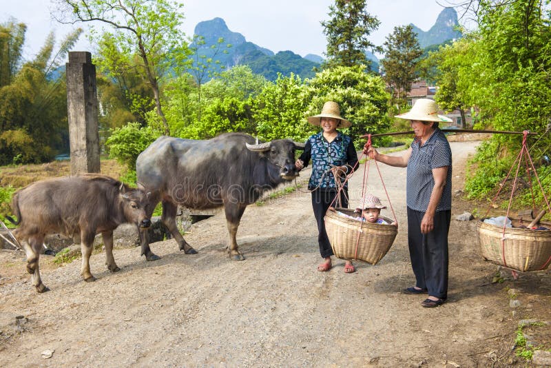 Chinesische farmwomen mit Büffeln und Baby in den Körben lizenzfreie stockfotografie Chinesische farmwomen mit Büffeln und Baby in den Körben lizenzfreie stockfotografie