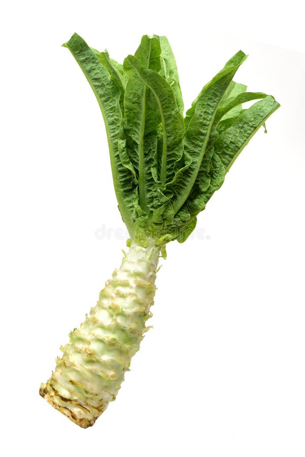 Chinesische Nahrung in einer Gaststätte lizenzfreies stockbild Chinesische Nahrung in einer Gaststätte lizenzfreies stockbild