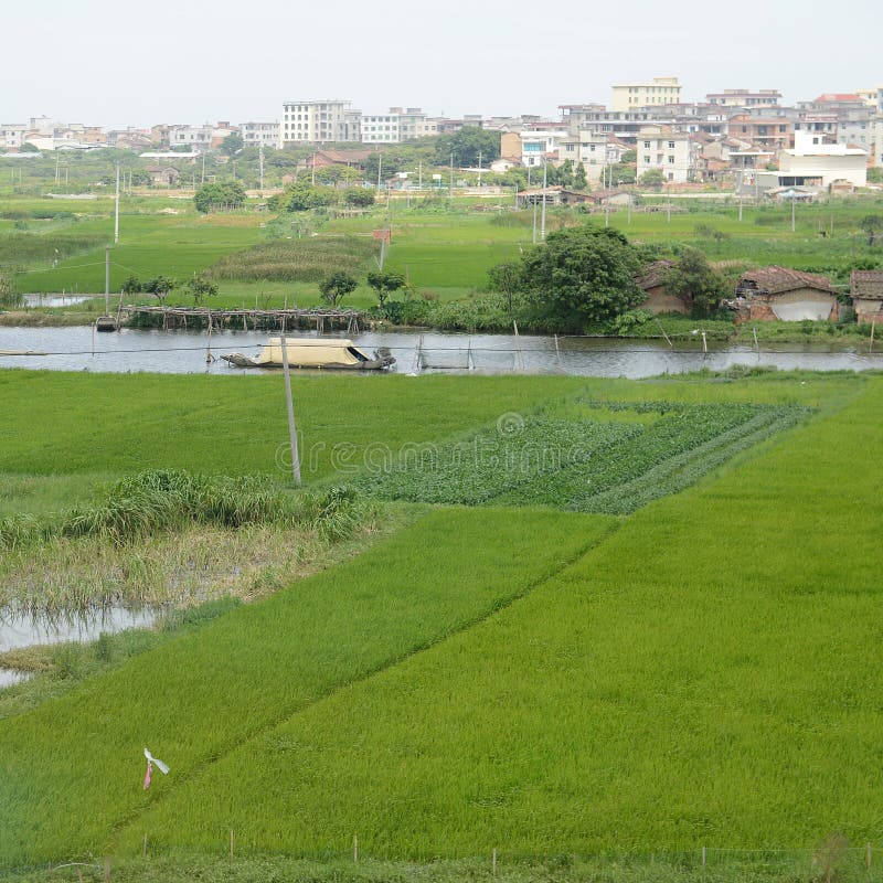 Chinesisches Dorf mit grünem Bauernhof lizenzfreies stockbild