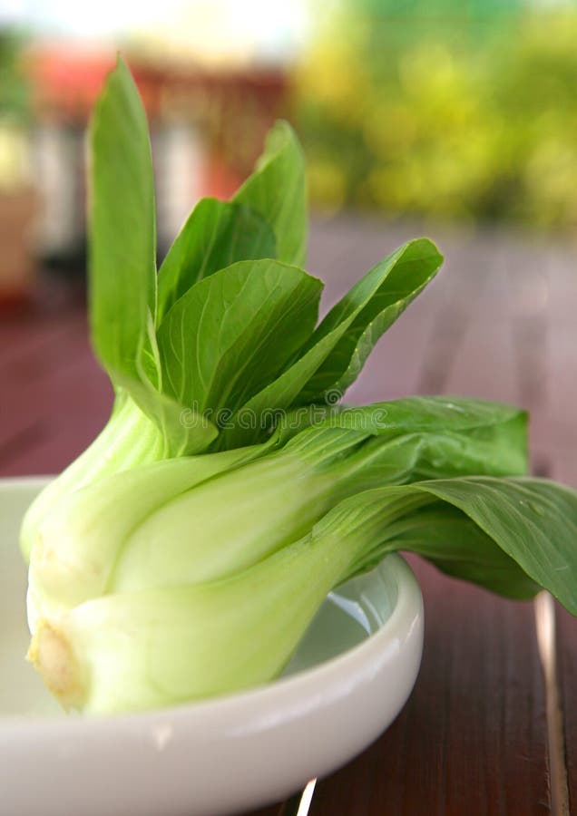 Frisches Grünes Bok Choi, Ein Orientalisches Gemüse. Stockfoto - Bild ... Frisches Grünes Bok Choi, Ein Orientalisches Gemüse. Stockfoto - Bild ...