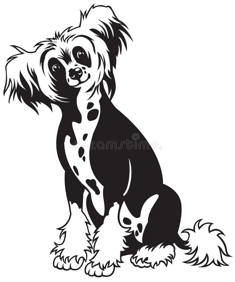 Chinesisches mit Haube Hundeschwarzweiß stock abbildung Chinesisches mit Haube Hundeschwarzweiß stock abbildung