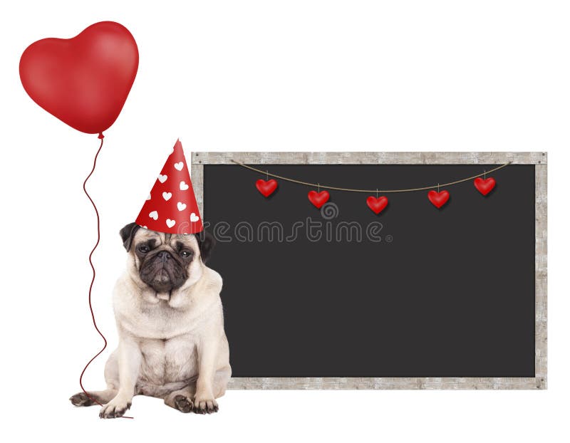 Chiot de roquet avec le chapeau rouge de partie, se reposant à côté du signe vide de tableau noir et tenant le ballon en forme de images libres de droits Chiot de roquet avec le chapeau rouge de partie, se reposant à côté du signe vide de tableau noir et tenant le ballon en forme de images libres de droits