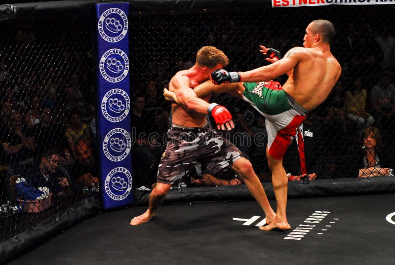 IMB Mixed Martial Arts editorial stock photo. Image of spar 9109358