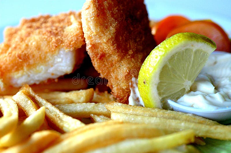 chiper stänger upp fisken royaltyfria foton chiper stänger upp fisken royaltyfria foton