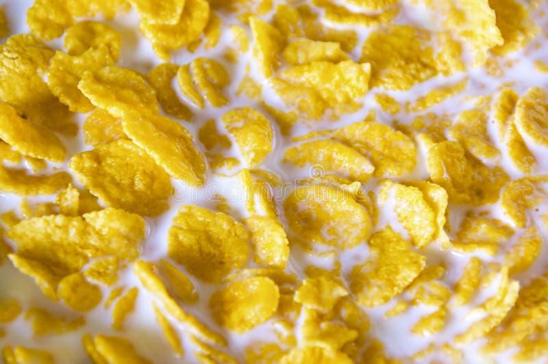 Chips in milk stock photo. Image of kitchen, eating, material 11541808