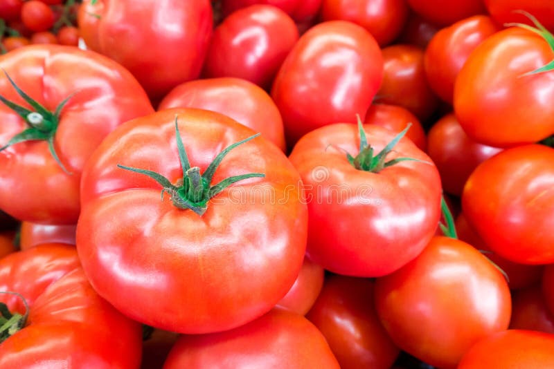 Chiuda su del mucchio fresco, succoso, maturo dei pomodori licopene ed antiossidante in nutrizione della frutta buona per salute