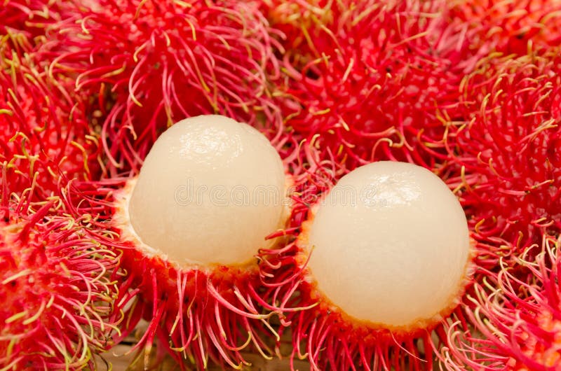 Primo piano di frutti di rambutan immagine stock