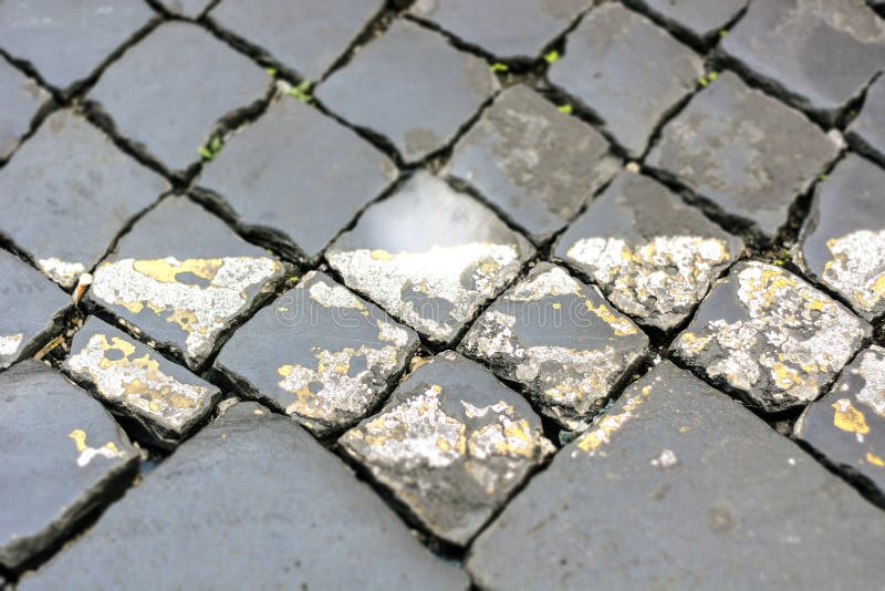 Chiuda su di una via romana tipica fatta con ciottolo fotografie stock libere da diritti Chiuda su di una via romana tipica fatta con ciottolo fotografie stock libere da diritti