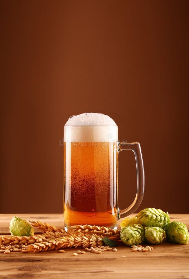 Chiuda sul vetro, sul luppolo e sull'orzo di birra sopra marrone immagine stock Chiuda sul vetro, sul luppolo e sull'orzo di birra sopra marrone immagine stock