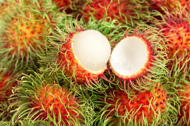Primo piano di un frutto rambutan immagine stock