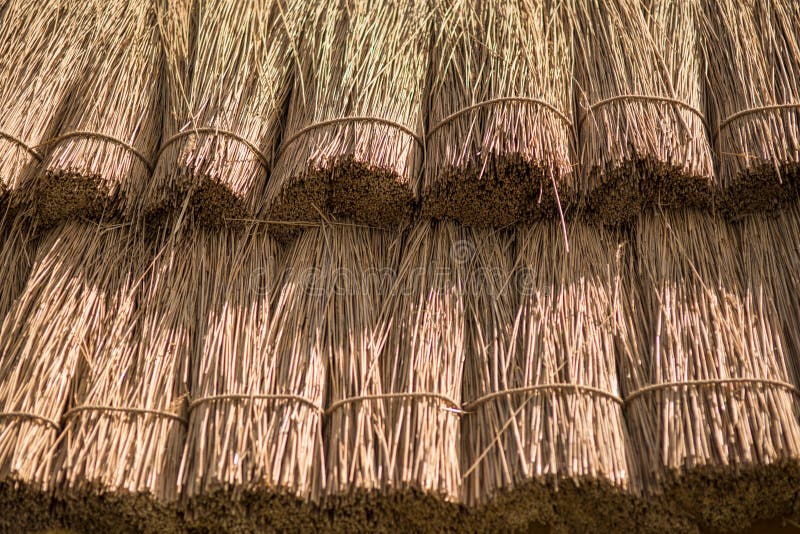 Chiuda sulla priorità bassa della paglia La struttura di ricopre di paglia il tetto fotografia stock Chiuda sulla priorità bassa della paglia La struttura di ricopre di paglia il tetto fotografia stock