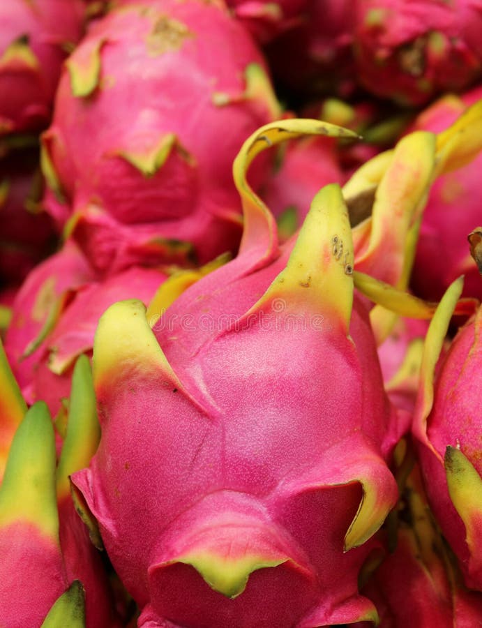 Chiuso sulla pera vibrante di rosa Dragon Fruit o della fragola, frutta popolare nella famiglia di cactus immagini stock Chiuso sulla pera vibrante di rosa Dragon Fruit o della fragola, frutta popolare nella famiglia di cactus immagini stock